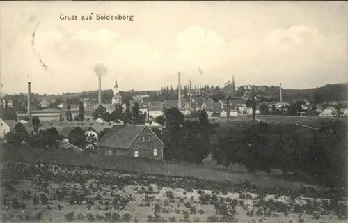 Seidenberg  x
