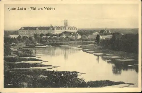 Leubus Kloster Blick vom Weinberg *