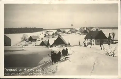 Neustadt Erzgebirge Pferdeschlitten Winter *