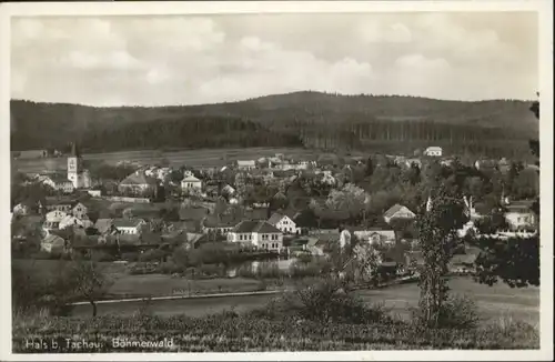 Hals Tachau bei Tachau  Boehmerwald *