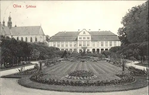 Oliva Schloss x