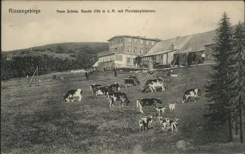 Neue Schlesische-Baude Pferdekopfsteine Riesengebirge *