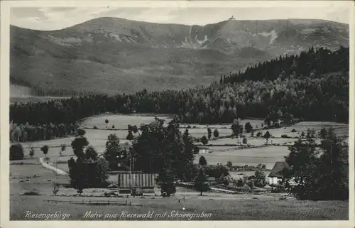 Kiesewald Schneegruben Riesengebirge *