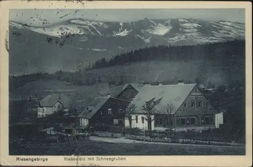 Kiesewald Riesengebirge Schneegruben x