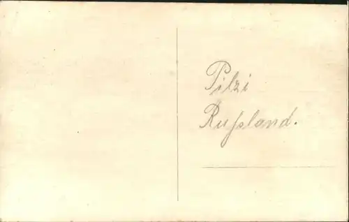 Pilzi [handschriftlich] Russland *