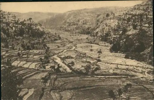 Java Deloewang River Irrigated Ricefields /  /