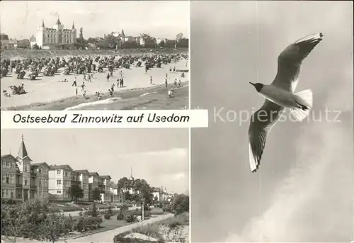 Zinnowitz Ostseebad Usedom Strand Promenade Moewe Kat. Zinnowitz