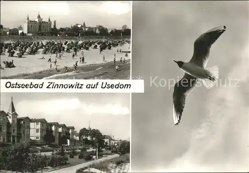Zinnowitz Ostseebad Usedom Strand Haeuser Moewe Kat. Zinnowitz