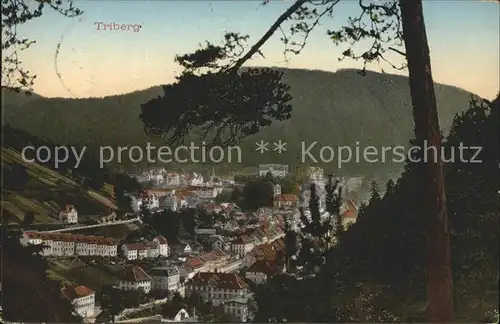 Triberg Ansicht vom Waldrand aus Kat. Triberg im Schwarzwald