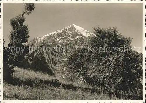 Aeschi Spiez Der Niesen Kat. Aeschi Spiez