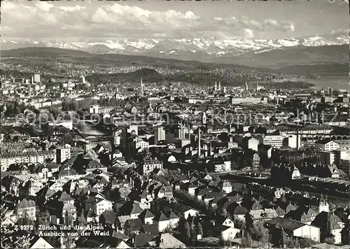 Zuerich Stadtbild mit Alpenpanorama Ausblick von der Waid / Zuerich /Bz. Zuerich City