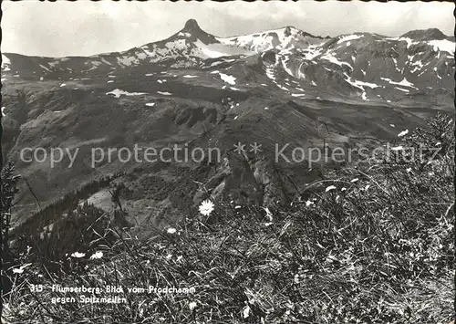 Flums Flumserberg Blick vom Prodchamm auf Spitzmeilen Glarner Alpen Alpenflora Kat. Flums