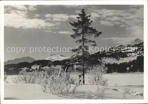 Lenzerheide Albula Schneelandschaft Kat. Lenzerheide