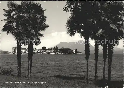 Isola Bella Lago Maggiore Palmen Kat. Italien