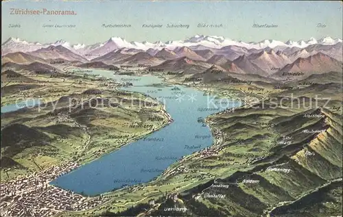 Zuerichsee Panorama Alpen aus Vogelperspektive / Zuerich /Bz. Zuerich City