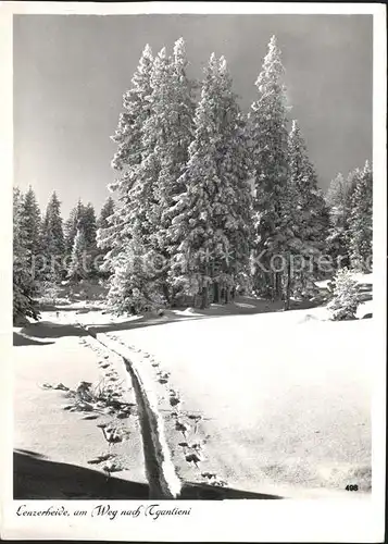 Lenzerheide Valbella Weg nach Aganlieni Kat. Lenzerheide