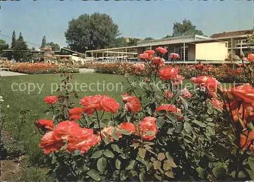 Zuerich Schweiz Gartenbau Ausstellung 1959 / Zuerich /Bz. Zuerich City