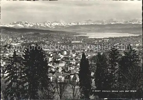 Zuerich Blick von der Waid Restaurant See Alpen / Zuerich /Bz. Zuerich City