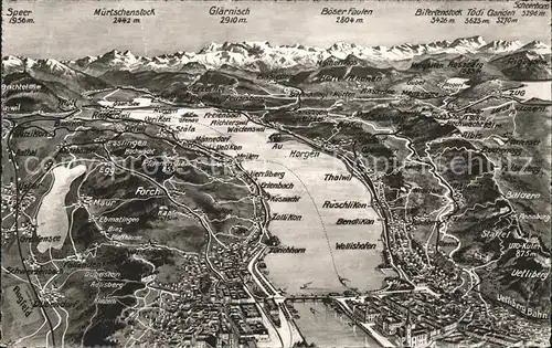 Zuerichsee Gebiets Panoramakarte / Zuerich /Bz. Zuerich City