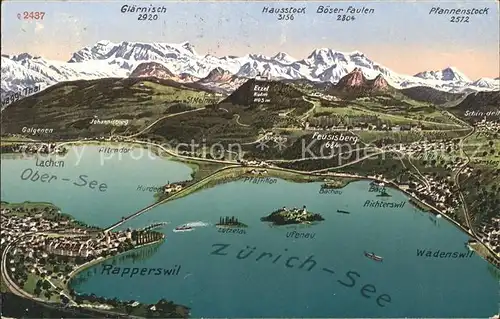 Zuerichsee und Umgebung Gebiets Panoramakarte / Zuerich /Bz. Zuerich City