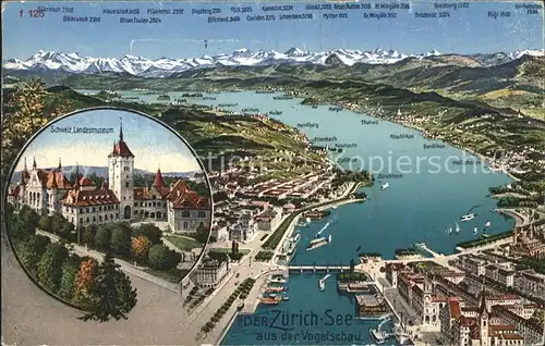 Zuerichsee und Umgebung Relief Panoramakarte mit Schweizer Landesmuseum / Zuerich /Bz. Zuerich City