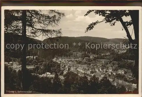 Triberg Panorama Kat. Triberg im Schwarzwald