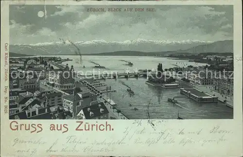 Zuerich Stadt und Seeblick / Zuerich /Bz. Zuerich City