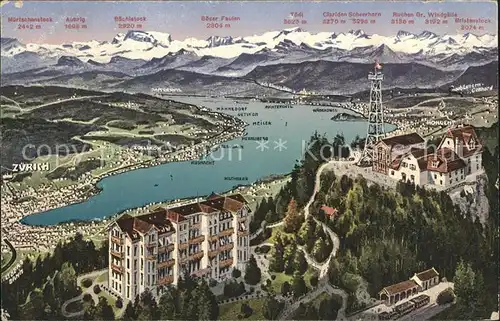 Zuerich mit See Alpen / Zuerich /Bz. Zuerich City