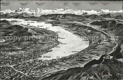 Zuerichsee und Umgebung Relief Panoramakarte / Zuerich /Bz. Zuerich City