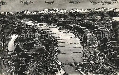 Zuerichsee und Umgebung Relief Panoramakarte / Zuerich /Bz. Zuerich City