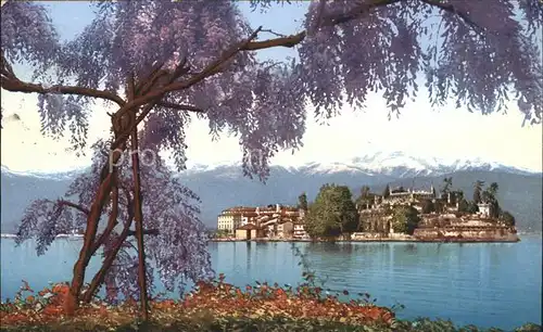 Isola Bella Lago Maggiore  Kat. Italien