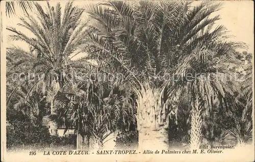 Saint Tropez Var Allee de Palmiers chez M. E. Olivier Cote d Azur Kat. Saint Tropez