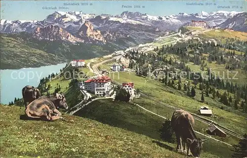 Rigi Staffel und Rigi Kulm Hotels Panorama Kat. Rigi Staffel