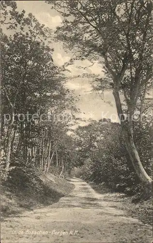 Bergen Niederland In de Bosschen