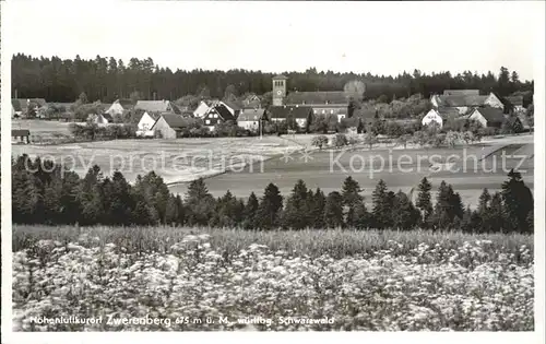 Zwerenberg Neuweiler Gesamtansicht Hoehenluftkurort Schwarzwald Kat. Neuweiler