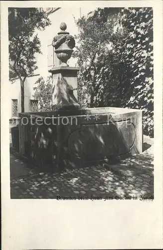 Zuerich Brunnen beim Haus zum Garten Raemistrasse 18 / Zuerich /Bz. Zuerich City