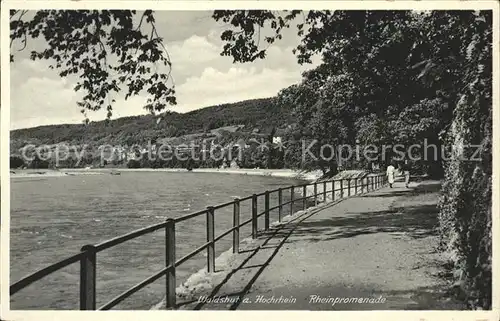 Waldshut Tiengen Rhein Rheinpromenade Kat. Waldshut Tiengen