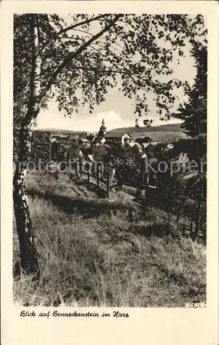 Benneckenstein Blick vom Waldrand Kat. Benneckenstein