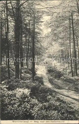 Zeddam Montferland Weg naar den Hettenheuvel