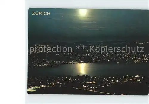 Zuerich Blick bei Vollmond vom ueetliberg auf den Zuerichsee / Zuerich /Bz. Zuerich City