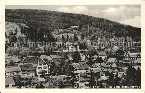 Georgenthal Blick vom Zigeunerweg Kat. Georgenthal