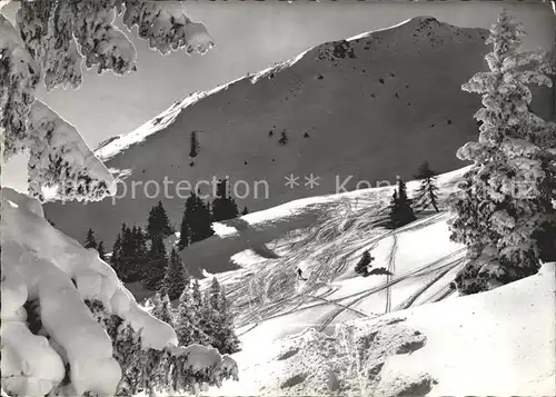 Lenzerheide GR Piz Scalottas Skispuren / Lenzerheide /Rg. Chur