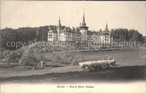 Zuerich Grand Hotel Dolder Schafe / Zuerich /Bz. Zuerich City