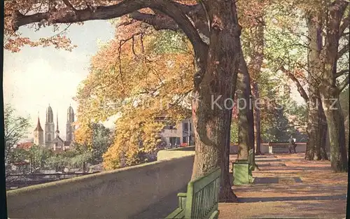 Zuerich Hohe Promenade Herbststimmung Serie 113 / Zuerich /Bz. Zuerich City