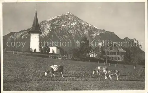 Aeschi Spiez Kirche Kuehe Landschaft mit Niesen Berner Alpen Kat. Aeschi Spiez