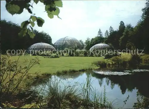 Zuerich Botanischer Garten Universitaet Zuerich Schauhaeuser  / Zuerich /Bz. Zuerich City