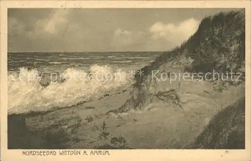 Wittduen Nordseebad Amrum Duenen Kat. Wittduen