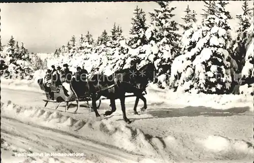 Fredeburg Schmallenberg Sauerland Pferde Schlittenfahrt im Hochsauerland Winterlandschaft Kat. Schmallenberg