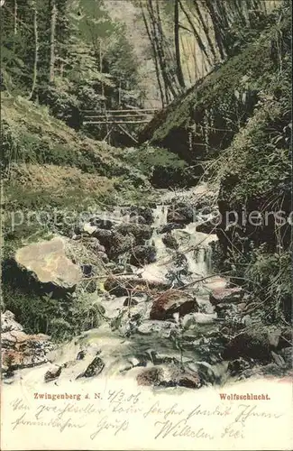 Zwingenberg Baden Neckar Wolfsschlucht Kat. Zwingenberg