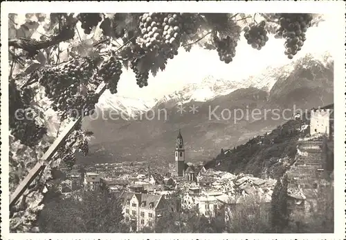 Meran Traubenreife Ortsansicht Kat. Merano